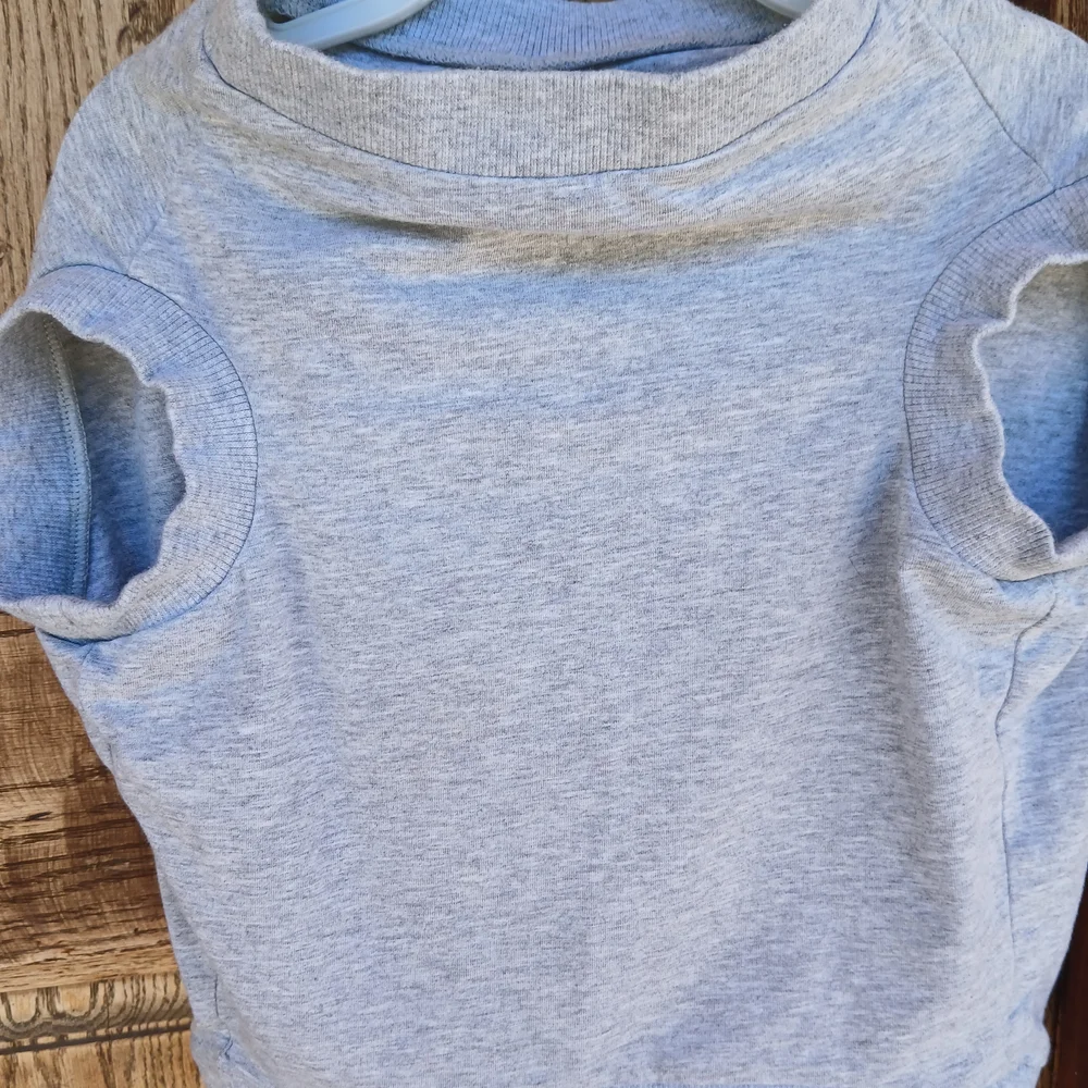 Old Navy Pet Love Out Loud Gray Rainbow Dog Animal Shirt Large Colorful